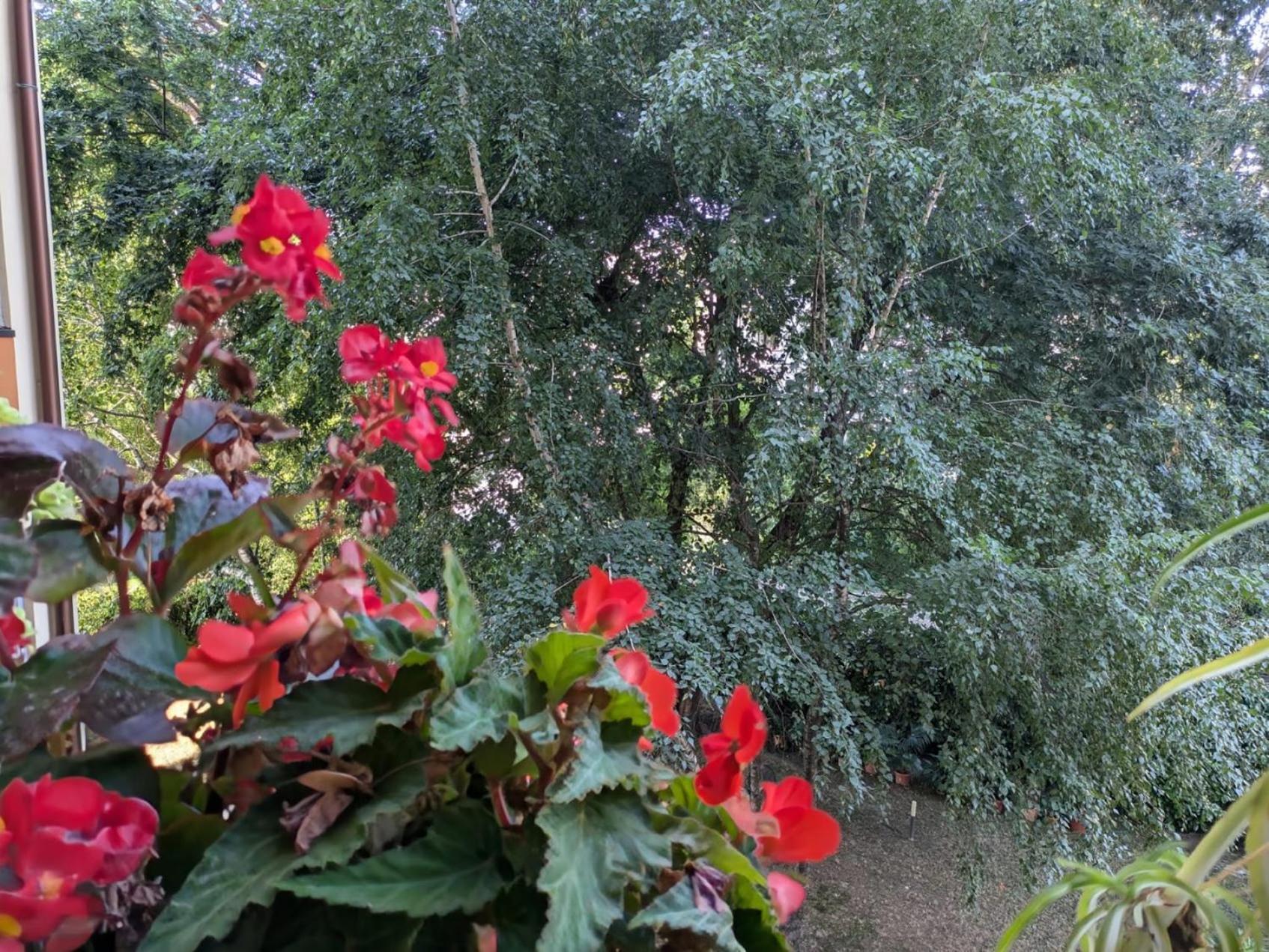 Appartamento Viale Puccini - Free Gated Parking - 3 Minutes From Center 卢卡 外观 照片