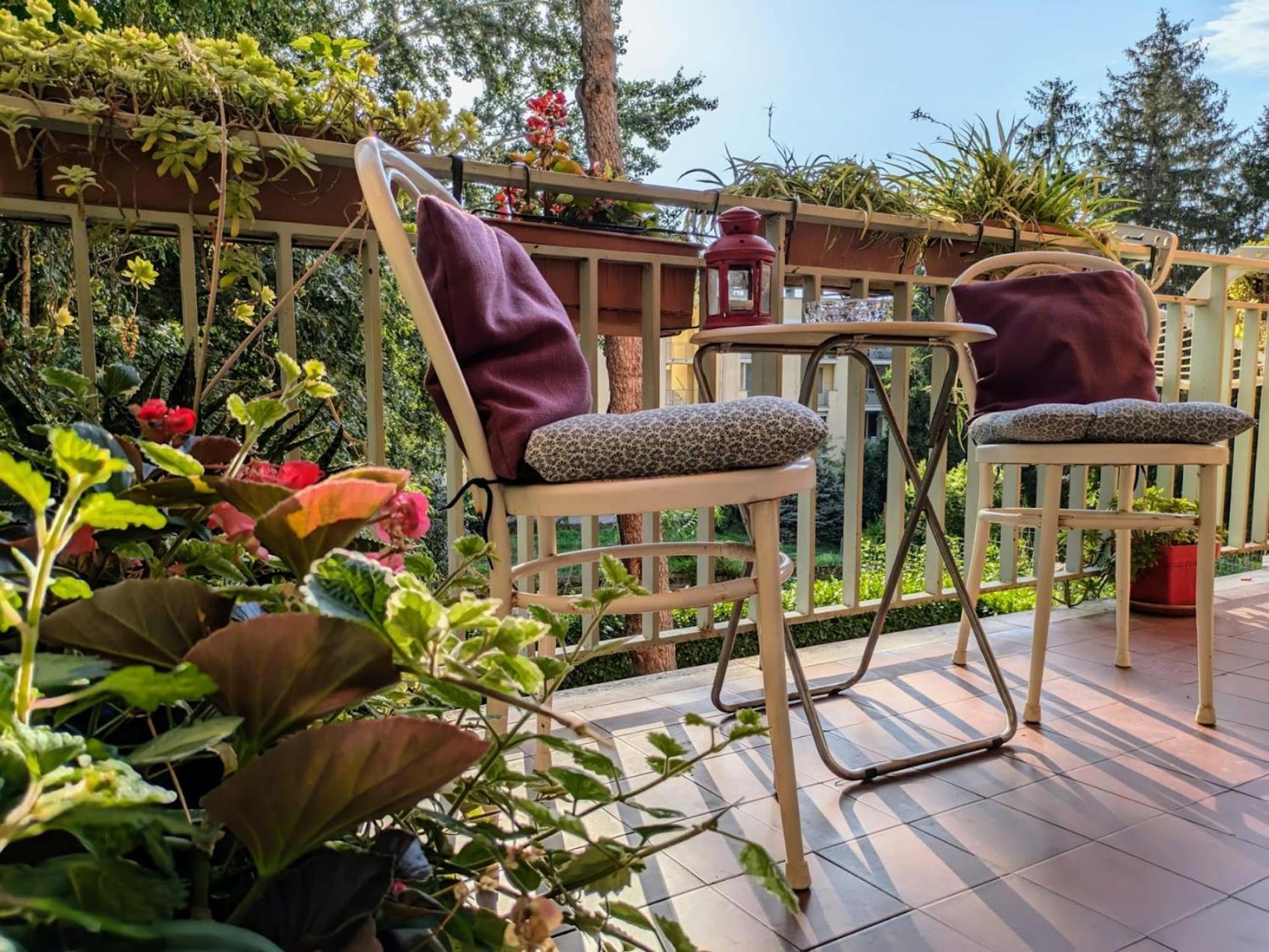 Appartamento Viale Puccini - Free Gated Parking - 3 Minutes From Center 卢卡 外观 照片